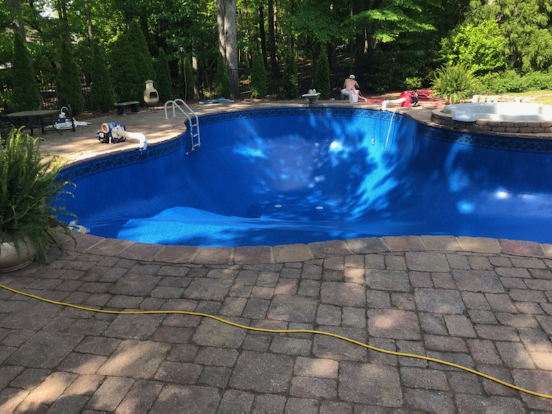 Pristine freeform pool ready for swimming season after professional pool opening